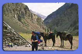 Quebrada de Vacas
