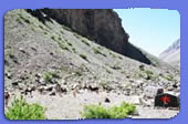 Pampa de Leñas