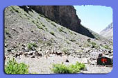 Trekking de Aproximacin